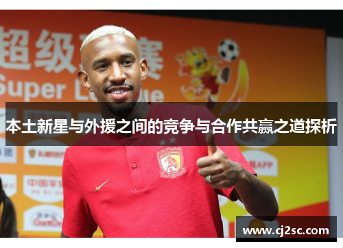 本土新星与外援之间的竞争与合作共赢之道探析