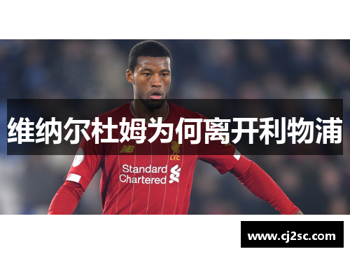 维纳尔杜姆为何离开利物浦 维纳尔杜姆为何离开利物浦